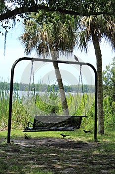 Swing  overlooking the lake on a sunny day; blue skies