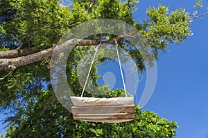 A swing on a rope hangs on a tropical tree on the beach of Zanzibar island, Tanzania, east Africa. Bottom view