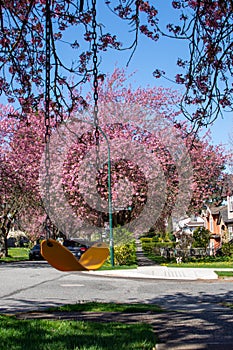 A swing on a street with lots of cherry blossoms .ã€€