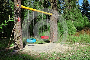 Swing from tire in forest