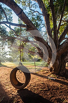 Swing Tire Tree Playtime