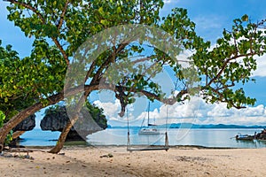 A swing on a tree on the beach of an uninhabited island in Thai