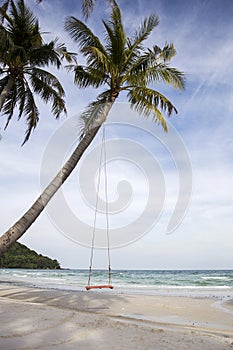 Swing on a tropical beach