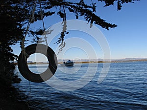 Swing tyre at the lake