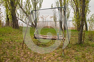Swing tyre at lake