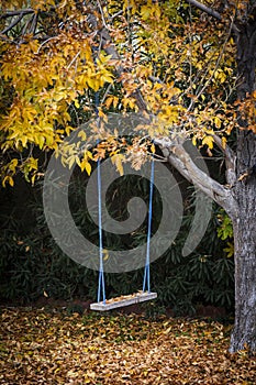 Swing under autumn tree