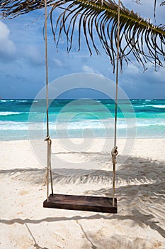 A swing under a palm tree in Mexico