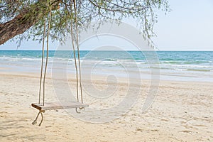 A swing under the tree at the beach