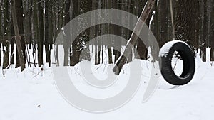 Swing from a wheel in a winter forest, tall snow-covered trees. Swing without people on a rubber tire hanging from a tree. Winter