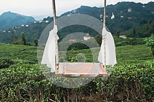 Swing with white scarfs in front of rows of Turkish black tea plantations in Cayeli area Rize province