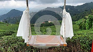 Swing with white scarfs slowly moving in front of rows of Turkish black tea plantations in Cayeli area Rize province