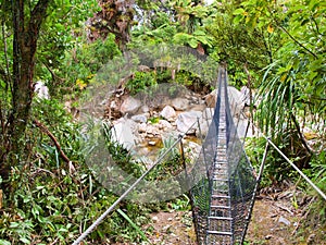 Swingbridge on the Heaphy Track