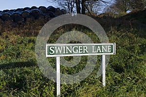 Swinger Lane