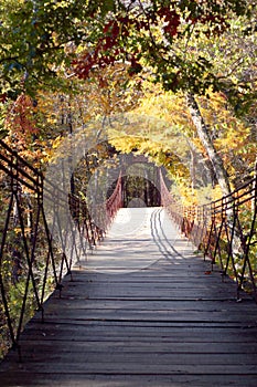 The Swinging Bridge