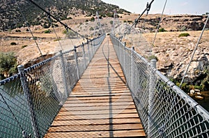 Swinging Bridge