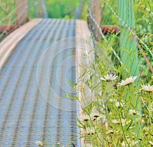 Swinging Bridge