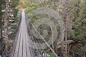 The swinging bridge over the Big Piney waterfall provides a tree top level view