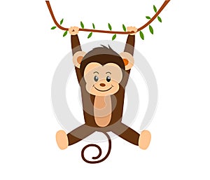 Swinging Monkey