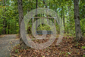 Swinging park bench in the woods