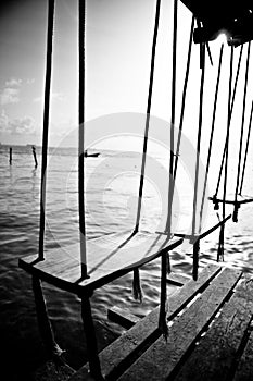 Swings by the ocean