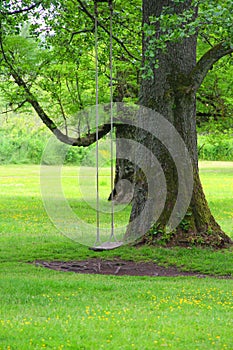 Swings in park