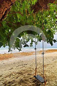 Swings and tree on the sand tropical beach.