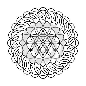 Swirl flower of life circle vector mandala coloring book