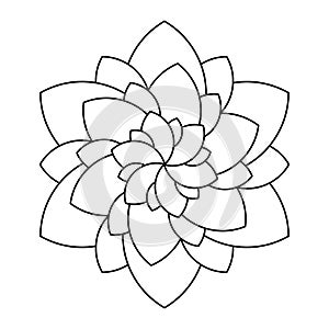 Swirl flower vector mandala isolated coloring book