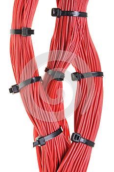 Swirl of red computer network cables