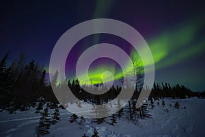 Swirling Bands of Red and Green Aurora Northern Lights