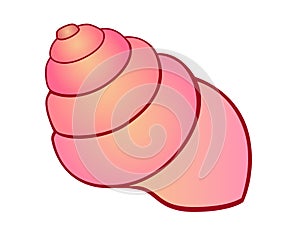 A swirling conical pink shell - vector full color picture. Sea life is a clam in a shell. Ocean inhabitants.