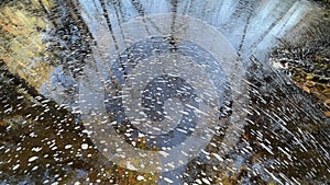 Swirling Foam in Autumn Forest Reflecting Pond