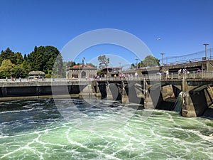 Swirling Water in the Spillway at The Ballard Locks in Seattle, WA