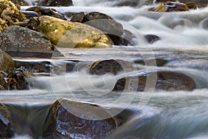 Swirling waters cascading over and around rocks in a mountain stream