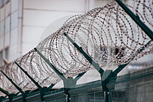 Swirls of barbed wire over the fence. fence symbolizes prison, non-freedom, totalitarianism and prohibitions