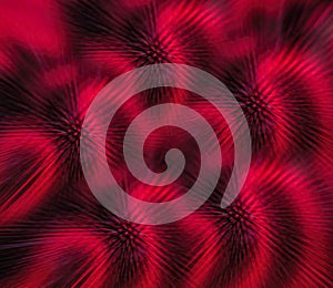 Swirls of Heat--Elements in an Electric Stove Burner