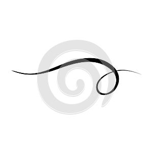 Swishes vector icon. Swashes illustration sign. Swoops symbol. Aroma logo. photo