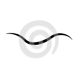 Swishes vector icon. Swashes illustration sign. Swoops symbol. Aroma logo. photo