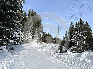 Swiss alpine holiday homes, mountain villas and holiday apartments of the resorts of Valbella and Lenzerheide