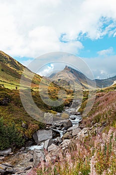 Swiss Alpine Landscape