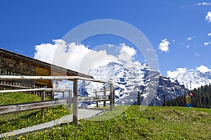 Swiss Alps. Alpine mountains. Mountain landscape. Tourist photo. Spring