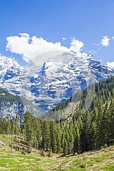 Swiss Alps. Alpine mountains. Mountain landscape. Tourist photo. Spring