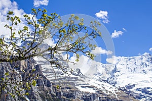 Swiss Alps. Alpine mountains. Mountain landscape. Tourist photo. Spring