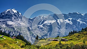 Swiss Alps landscape