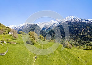 Swiss alps meadow at the beautiful village Soglio with the mountain range Sciora