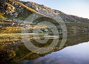 Swiss Alps mountain lake Grimsel with cottongrass eriophorum photo