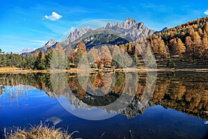 Swiss Alps mountain lake Lai Nair Black Lake with refleciton of autumn forest photo