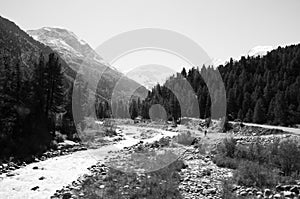 Swiss alps: The river in the valley of Morteratsch in the upper Engadin swiss Alps