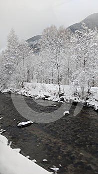 Swiss Alps stream covered in snow