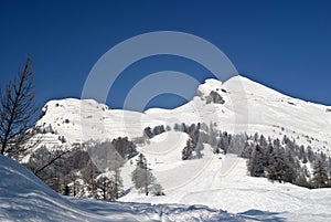 Swiss alps photo